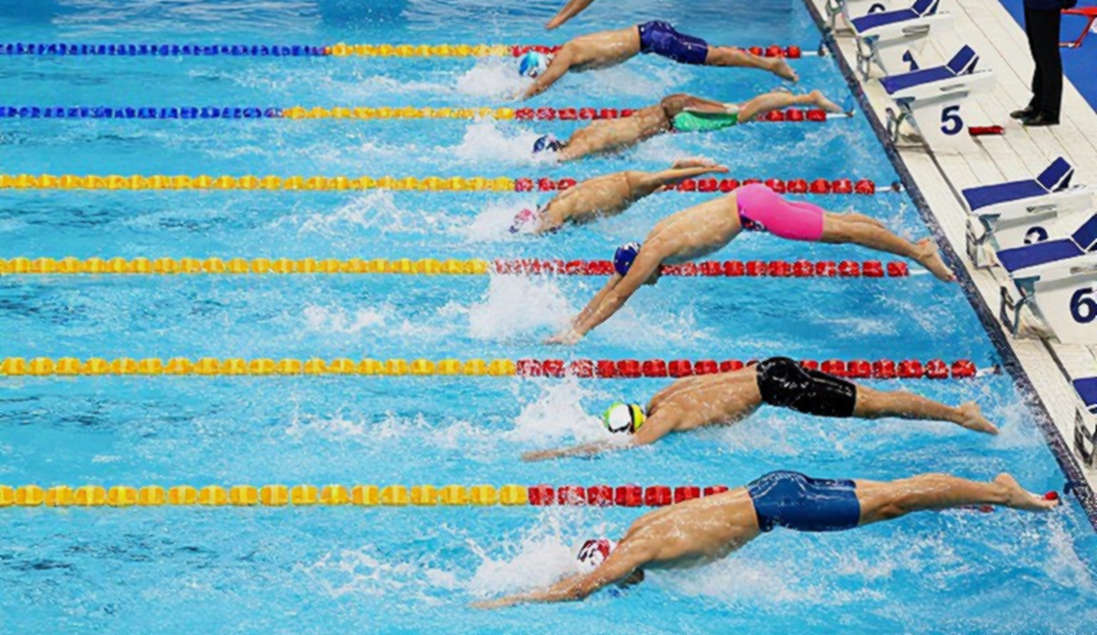 Singapore 2026 và khoảng trống dữ liệu trên đường bơi Việt Nam